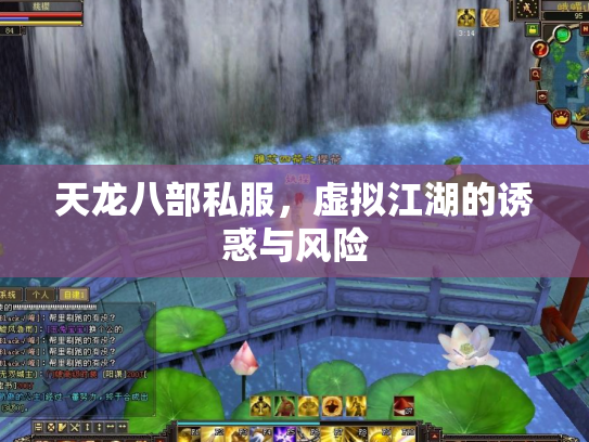 天龙八部私服，虚拟江湖的诱惑与风险