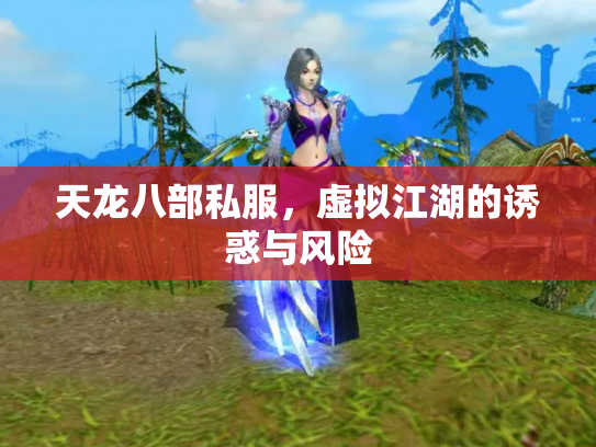 天龙八部私服，虚拟江湖的诱惑与风险