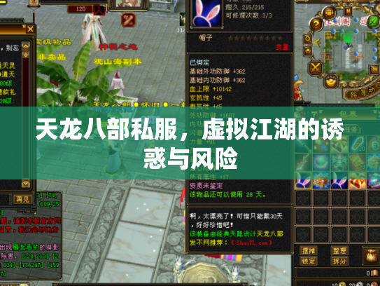 天龙八部私服，虚拟江湖的诱惑与风险