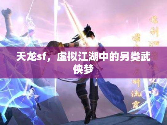 天龙sf，虚拟江湖中的另类武侠梦