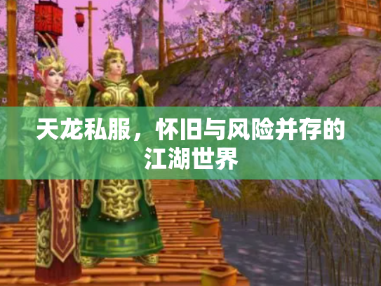 天龙私服，怀旧与风险并存的江湖世界
