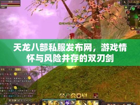 天龙八部私服发布网，游戏情怀与风险并存的双刃剑