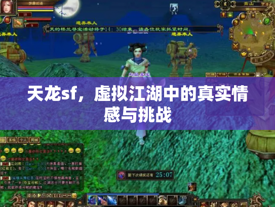 天龙sf，虚拟江湖中的真实情感与挑战