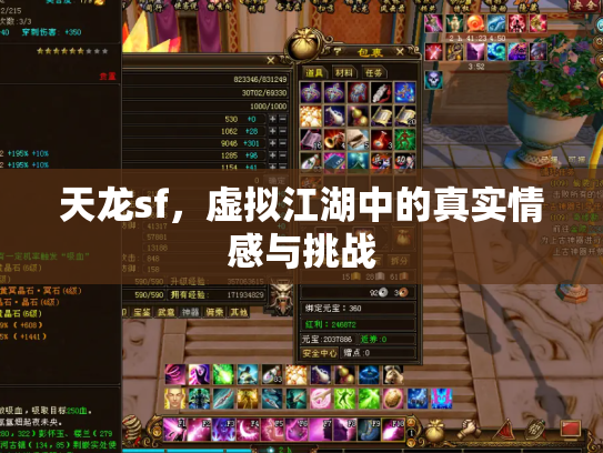 天龙sf，虚拟江湖中的真实情感与挑战