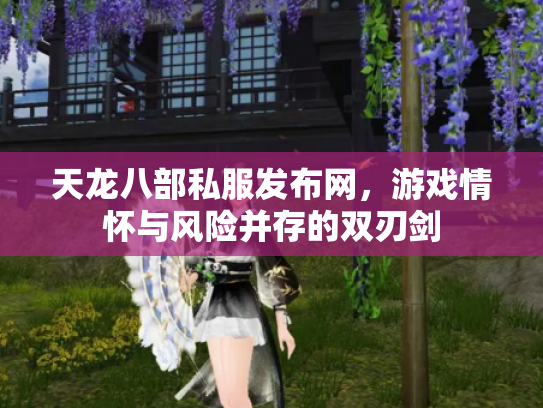 天龙八部私服发布网，游戏情怀与风险并存的双刃剑