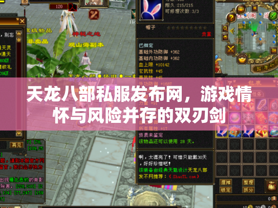 天龙八部私服发布网，游戏情怀与风险并存的双刃剑