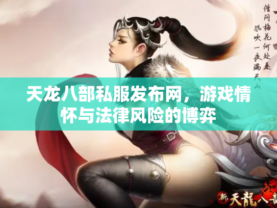 天龙八部私服发布网，游戏情怀与法律风险的博弈