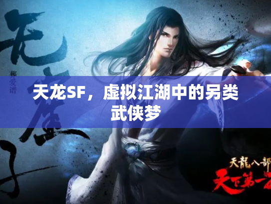天龙SF，虚拟江湖中的另类武侠梦