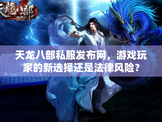 天龙八部私服发布网，游戏玩家的新选择还是法律风险？