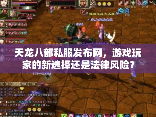 天龙八部私服发布网，游戏玩家的新选择还是法律风险？