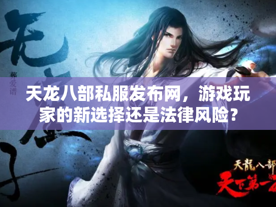 天龙八部私服发布网，游戏玩家的新选择还是法律风险？