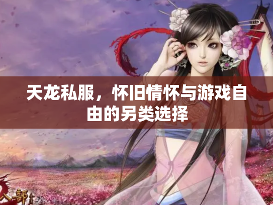天龙私服，怀旧情怀与游戏自由的另类选择
