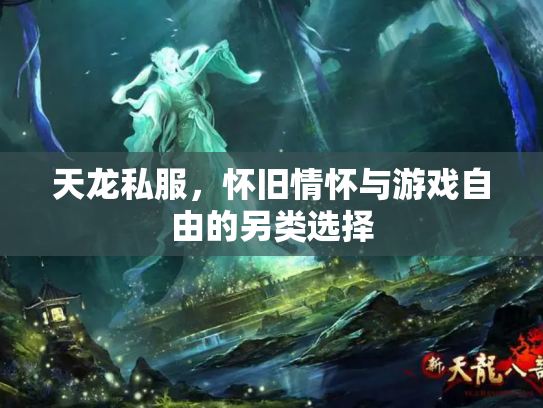 天龙私服，怀旧情怀与游戏自由的另类选择