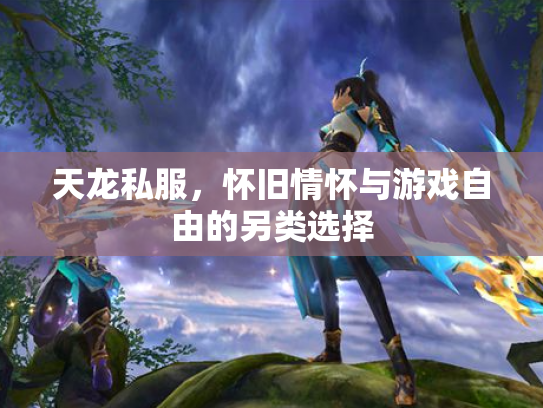 天龙私服，怀旧情怀与游戏自由的另类选择