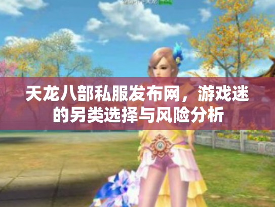 天龙八部私服发布网，游戏迷的另类选择与风险分析