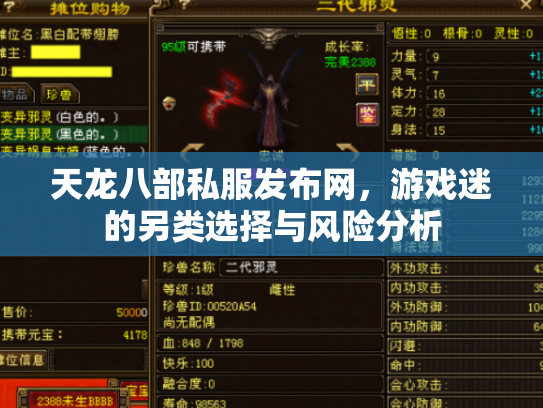 天龙八部私服发布网，游戏迷的另类选择与风险分析