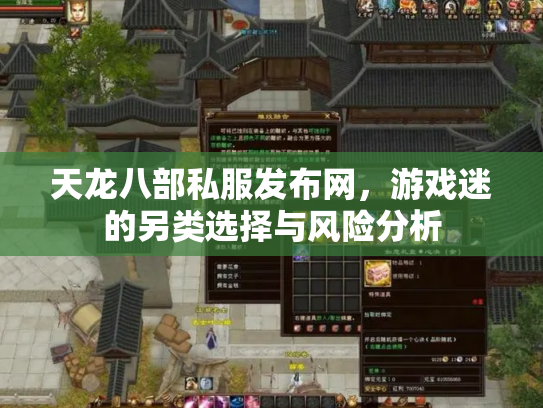 天龙八部私服发布网，游戏迷的另类选择与风险分析