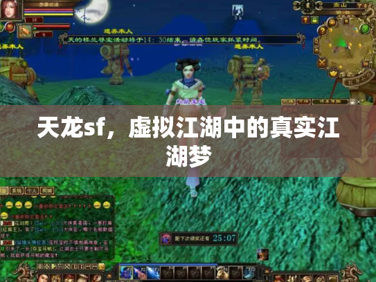 天龙sf，虚拟江湖中的真实江湖梦
