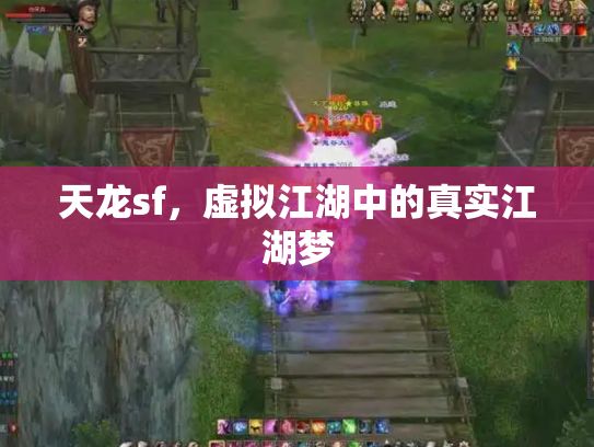 天龙sf，虚拟江湖中的真实江湖梦