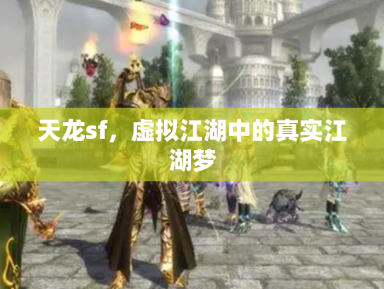 天龙sf，虚拟江湖中的真实江湖梦