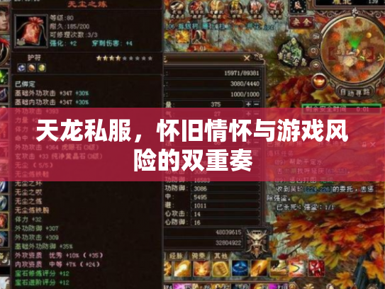 天龙私服，怀旧情怀与游戏风险的双重奏