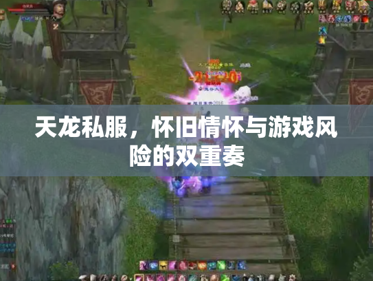 天龙私服，怀旧情怀与游戏风险的双重奏