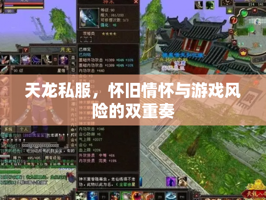 天龙私服，怀旧情怀与游戏风险的双重奏