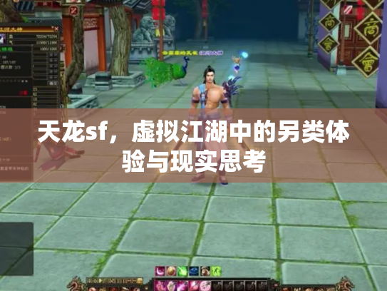 天龙sf，虚拟江湖中的另类体验与现实思考