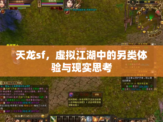 天龙sf，虚拟江湖中的另类体验与现实思考