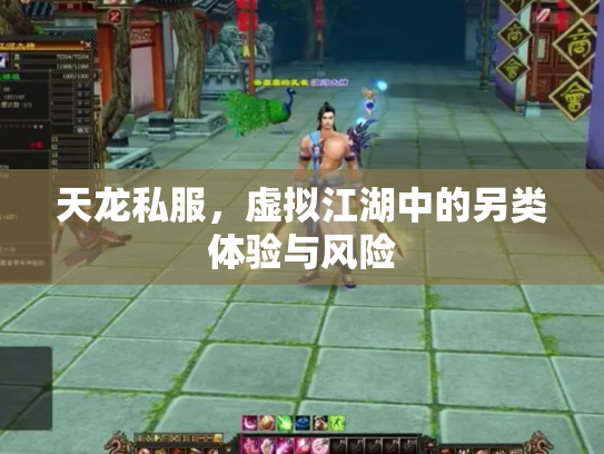 天龙私服，虚拟江湖中的另类体验与风险