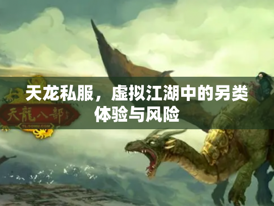 天龙私服，虚拟江湖中的另类体验与风险