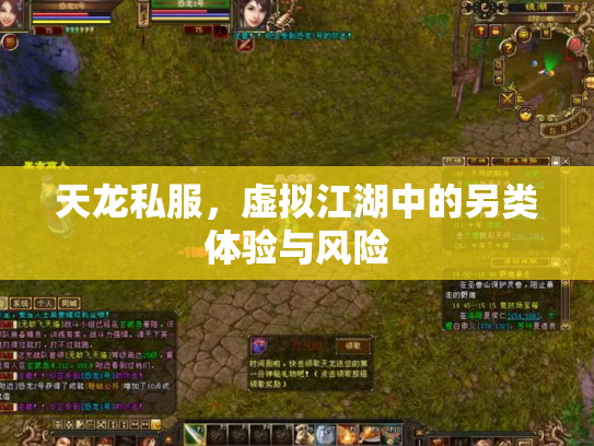 天龙私服，虚拟江湖中的另类体验与风险