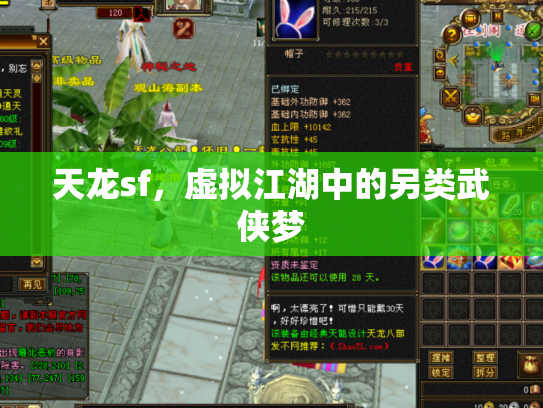 天龙sf，虚拟江湖中的另类武侠梦