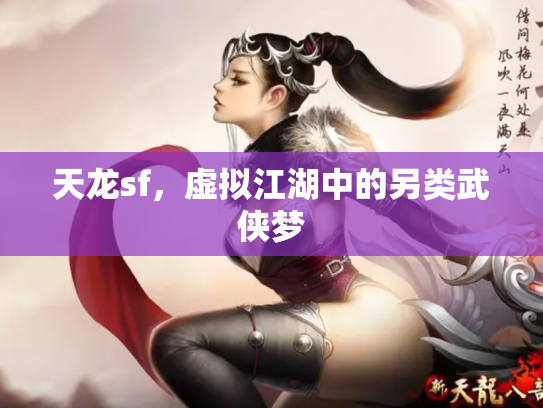 天龙sf，虚拟江湖中的另类武侠梦