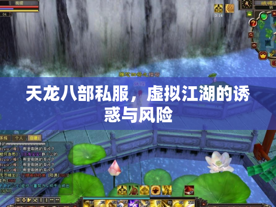 天龙八部私服，虚拟江湖的诱惑与风险