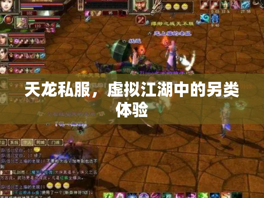 天龙私服，虚拟江湖中的另类体验