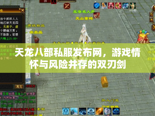 天龙八部私服发布网，游戏情怀与风险并存的双刃剑