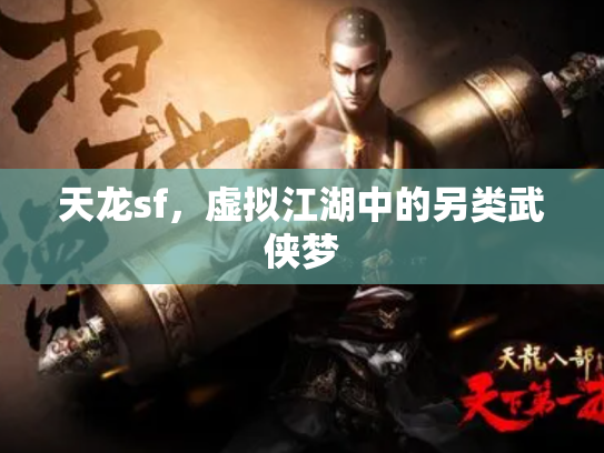 天龙sf，虚拟江湖中的另类武侠梦