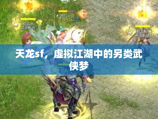 天龙sf，虚拟江湖中的另类武侠梦