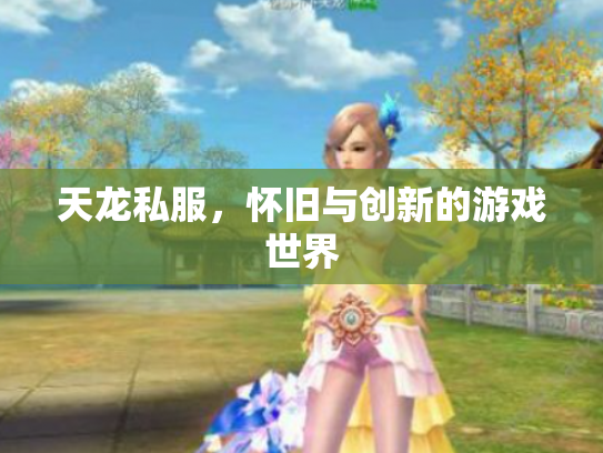 天龙私服，怀旧与创新的游戏世界