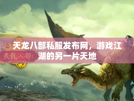 天龙八部私服发布网，游戏江湖的另一片天地