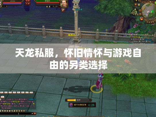 天龙私服，怀旧情怀与游戏自由的另类选择