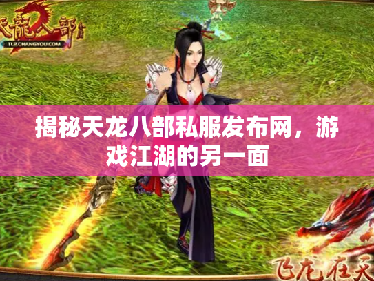 揭秘天龙八部私服发布网，游戏江湖的另一面