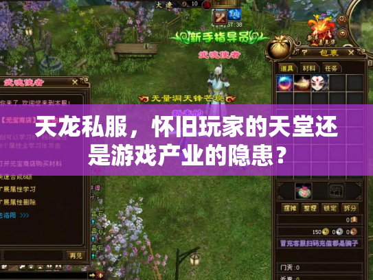 天龙私服，怀旧玩家的天堂还是游戏产业的隐患？