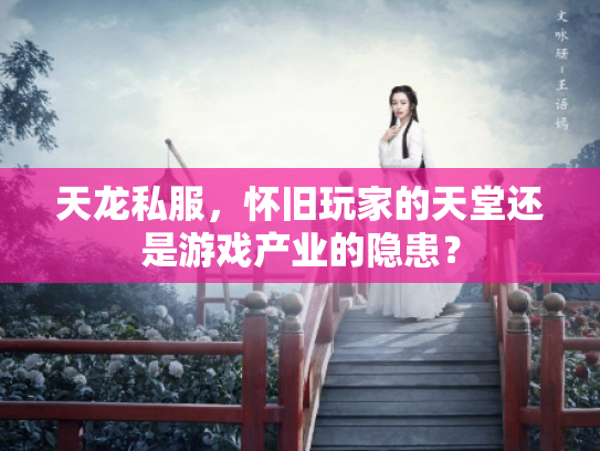 天龙私服，怀旧玩家的天堂还是游戏产业的隐患？