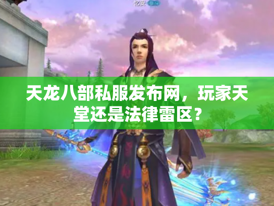 天龙八部私服发布网，玩家天堂还是法律雷区？
