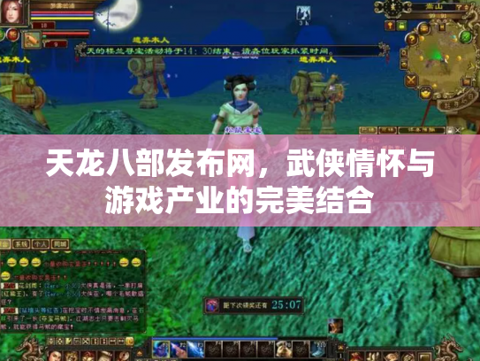 天龙八部发布网，武侠情怀与游戏产业的完美结合