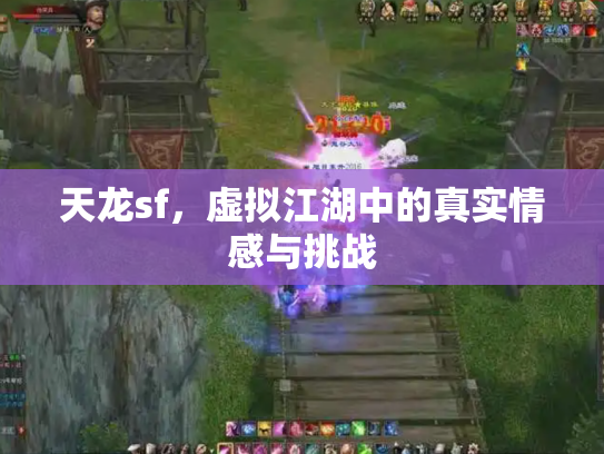 天龙sf，虚拟江湖中的真实情感与挑战