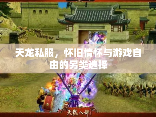 天龙私服，怀旧情怀与游戏自由的另类选择