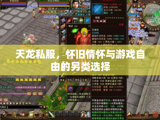 天龙私服，怀旧情怀与游戏自由的另类选择